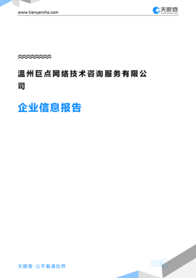 温州巨点网络技术咨询服务企业信息报告-天眼查